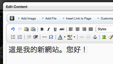 entered Chinese text